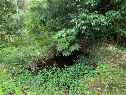 筆崎神社の自然