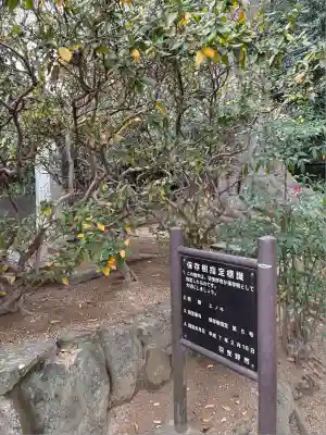 誉田八幡宮(大阪府)