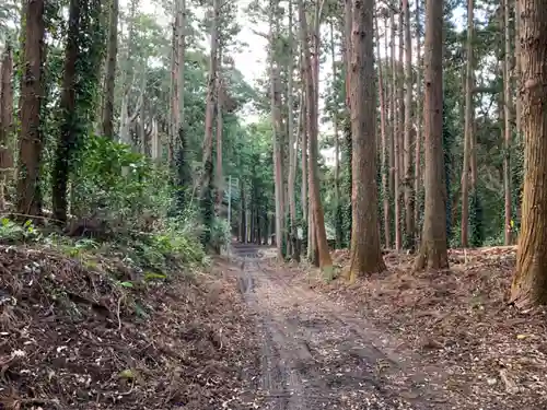 丸郷神社の自然