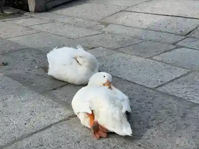 神泉苑(京都府)