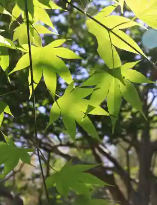 養徳院(京都府)