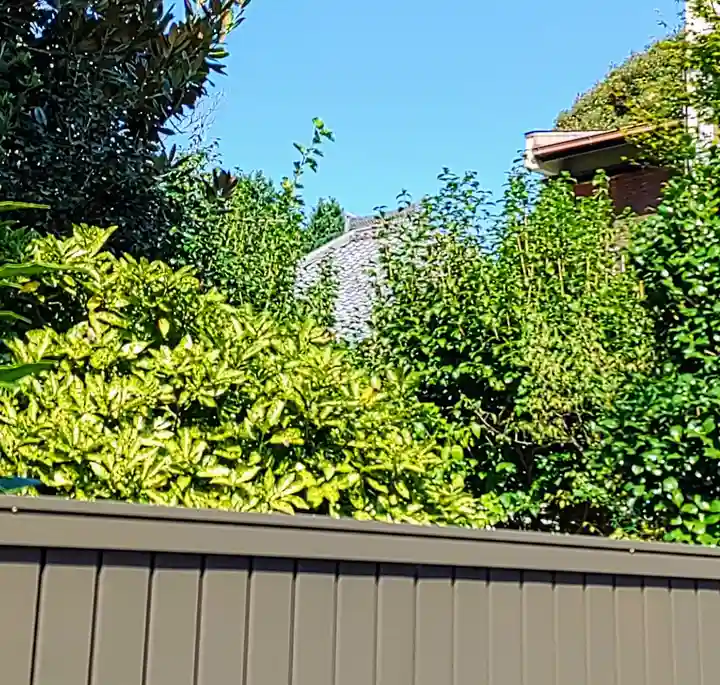 新福寺の本殿・本堂