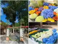 金蛇水神社の御朱印