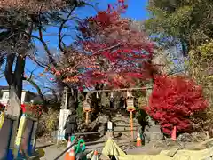 新倉富士浅間神社(山梨県)