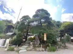 宝登山神社(埼玉県)