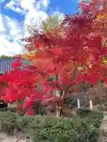 春光大明神(兵庫県)