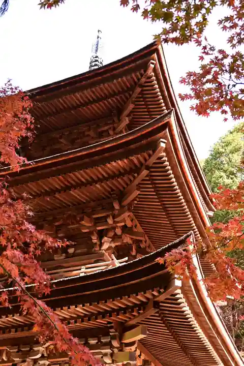 金剛輪寺(滋賀県)