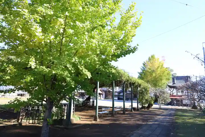 慈恩寺(埼玉県)