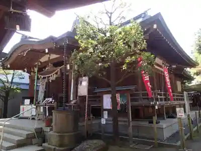 鳩森八幡神社の本殿・本堂