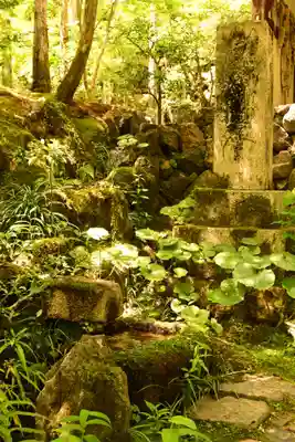 常寂光寺(京都府)