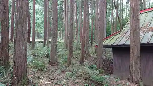 玉木平神社の周辺