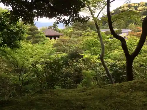 慈照寺（慈照禅寺・銀閣寺）の景色