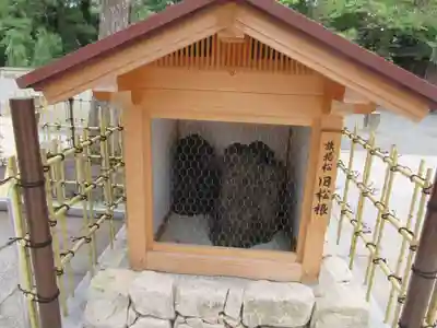 氣比神宮(福井県)