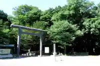 北海道神宮の鳥居