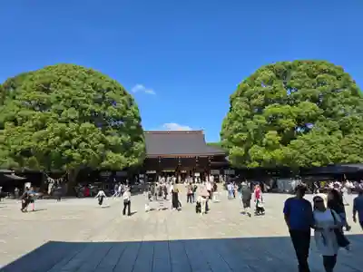 明治神宮(東京都)