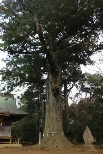 松山神社(千葉県)