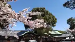 真清田神社の自然