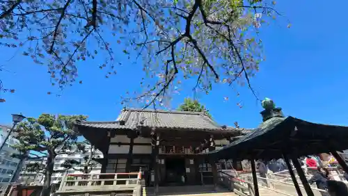 新井薬師（梅照院）の{uncategorized: "未分類", other: "その他", undefined: "問題あり", building: "その他建物", grave: "お墓", sacred_gate: "鳥居", guardian: "狛犬", statue: "像", buddha: "仏像", history: "歴史", nature: "自然", garden: "庭園", animal: "動物", pagoda: "塔", temizu: "手水舎", mountain_gate: "山門・神門", sanctuary: "本殿・本堂", subordinate: "末社・摂社", art: "芸術", scenery: "景色", jizo: "地蔵", ema: "絵馬", goshuin: "御朱印", omikuji: "おみくじ", items: "授与品その他", amulet: "お守り", goshuincho: "御朱印帳", eats: "食事", festival: "お祭り", votive_dance: "神楽", shichigosan: "七五三参", wedding: "結婚式", experience: "体験その他", initially: "初詣", around: "周辺", anti_infection: "感染症対策"}
