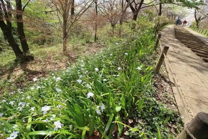 弘法山 大師堂(神奈川県)