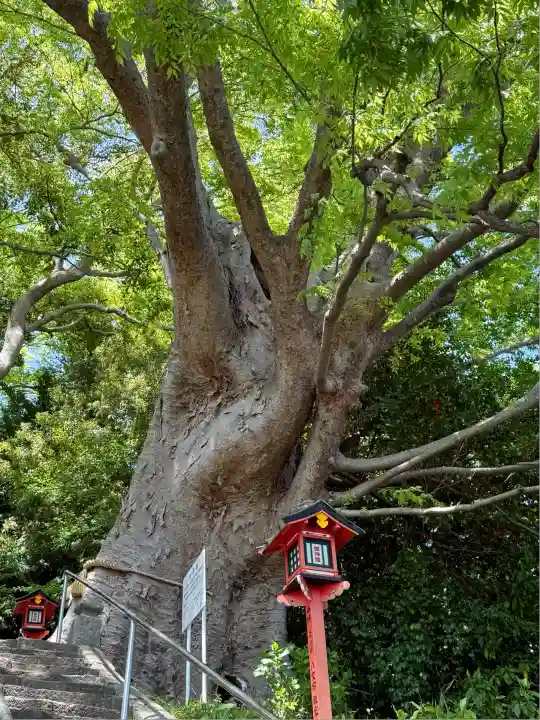 常陸第三宮 吉田神社(茨城県)