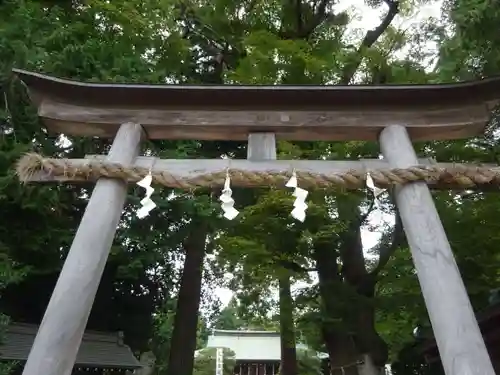 比々多神社の鳥居