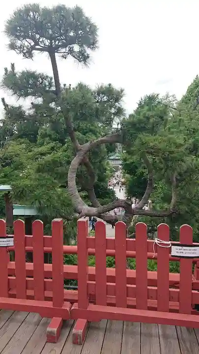 清水観音堂(東京都)