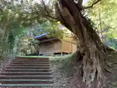 天照大神社の建物その他