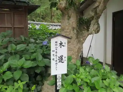 円覚寺(神奈川県)