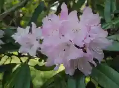 志波彦神社・鹽竈神社の自然