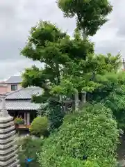 瑞雲寺(兵庫県)