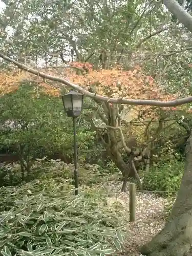 安國論寺(安国論寺)の周辺