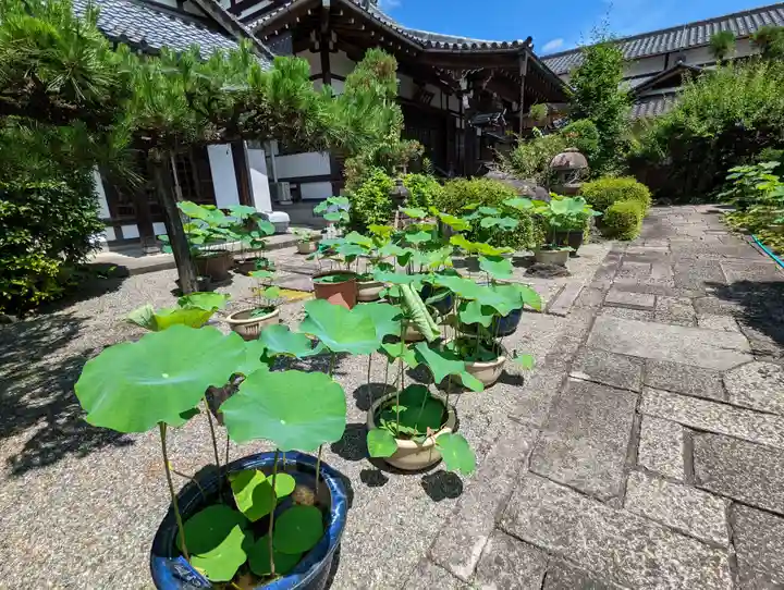 更雀寺(京都府)