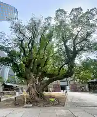 難波神社(大阪府)