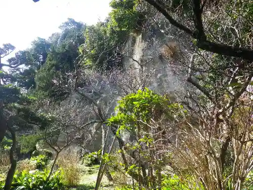 浄光明寺の自然
