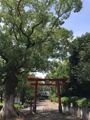 早水神社の鳥居