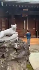 稲荷神社(千葉県)