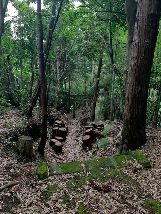 日枝神社の自然