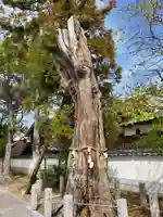 戎神社のその他建物