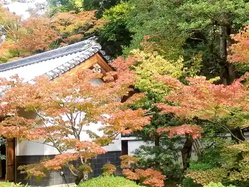 隨心院（随心院）(京都府)
