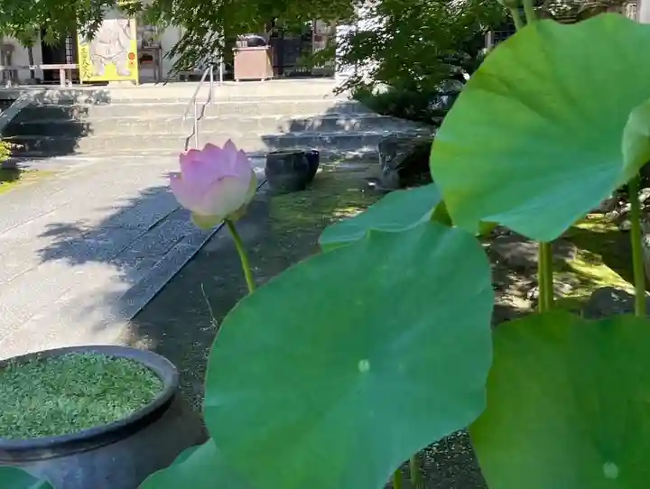 伊勢の国 四天王寺の自然