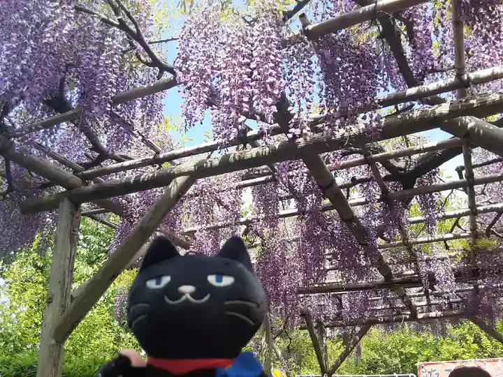 亀戸天神社(東京都)