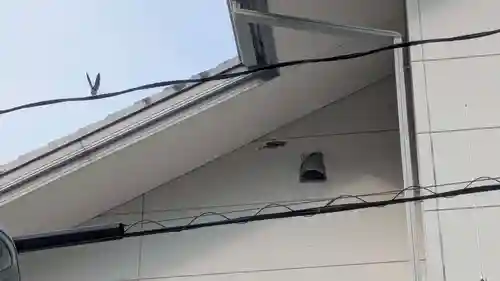 西宮大神宮・住吉大神宮・金刀比羅宮の動物