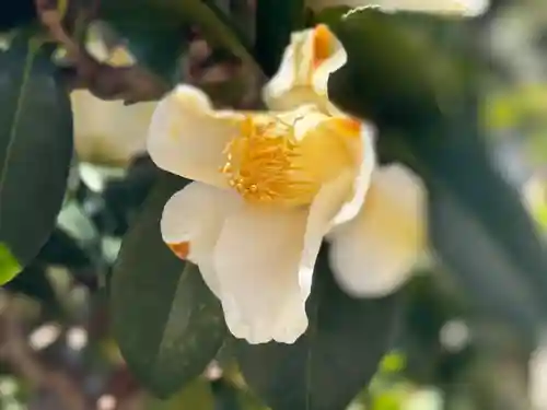 西方山極楽寺(岐阜県)