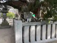 高砂神社の自然