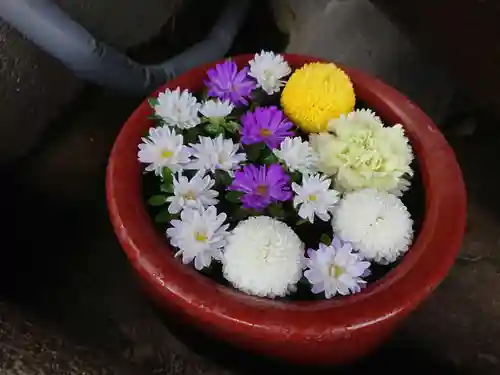 菅生神社の手水舎