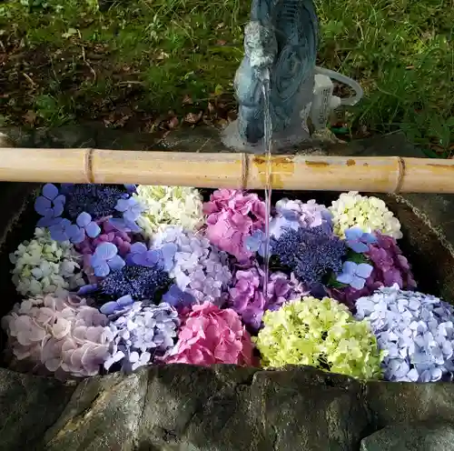 大山祇神社の手水舎