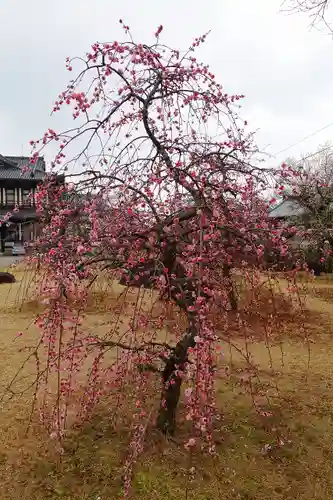 柳澤神社の庭園