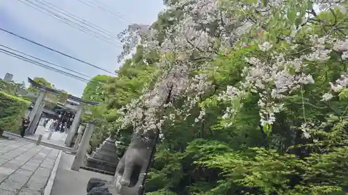 晴明神社(京都府)
