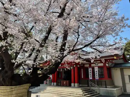 旗岡八幡神社の本殿・本堂