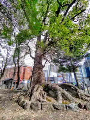 六所社(金城町)の自然
